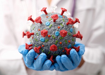 ВОЗ предупредила о риске распространения нового штамма коронавируса