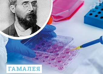 Вклад Николая Федоровича Гамалеи в отечественную науку