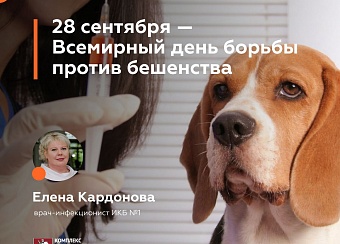 Елена Кардонова рассказала о единственном способе спасти человека после укуса бешеного животного